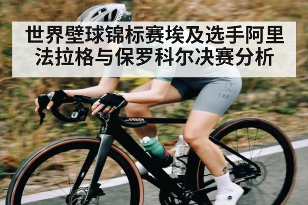 世界壁球锦标赛埃及选手阿里法拉格与保罗科尔决赛分析（kaiyun sports）